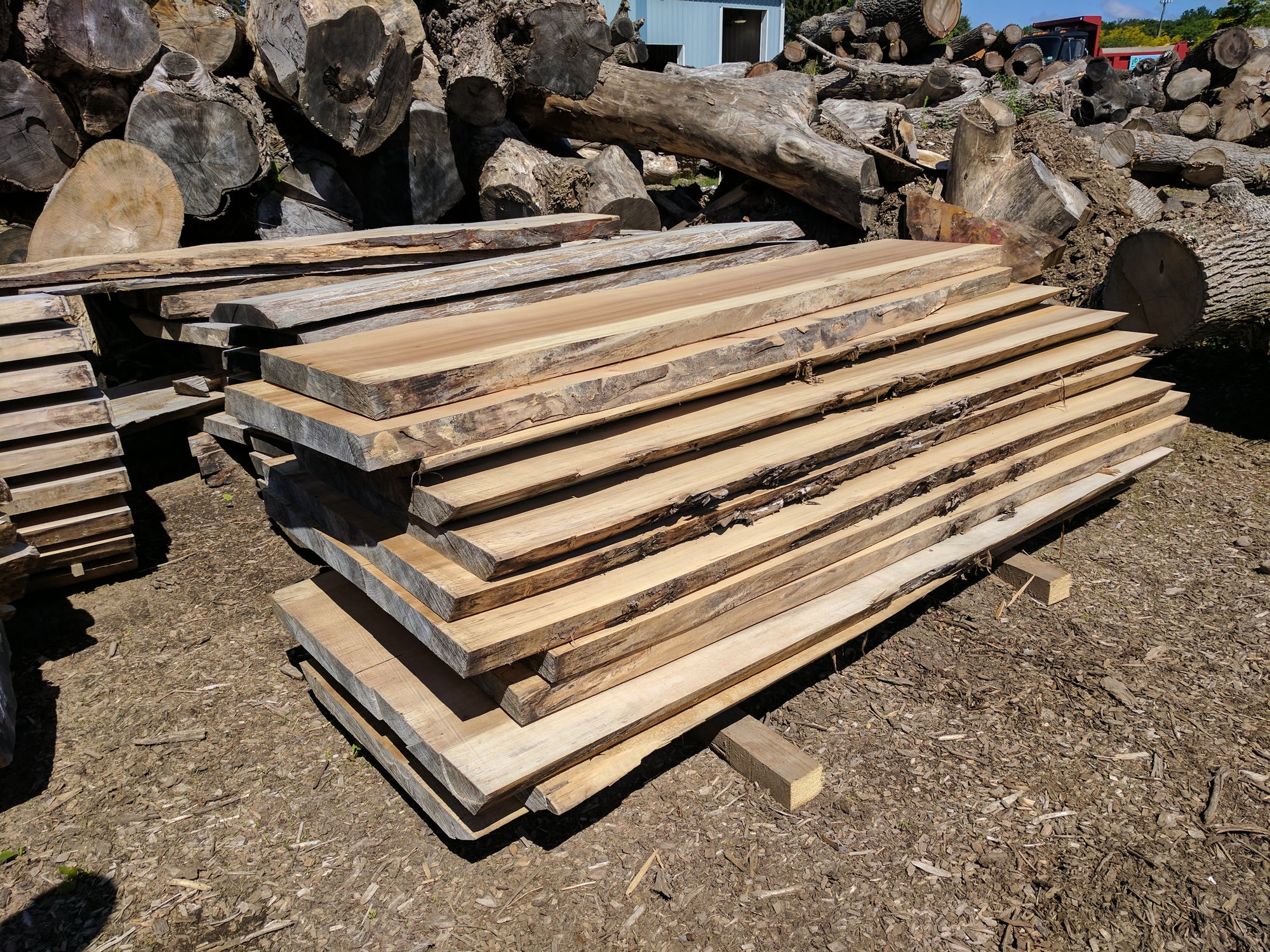 Choosing a Wood Slab for Your Next Project | Wood Slabs | Rochester, NY